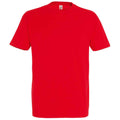 Compulsory: House T shirt, York