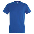 Compulsory: House T shirt, Tudor