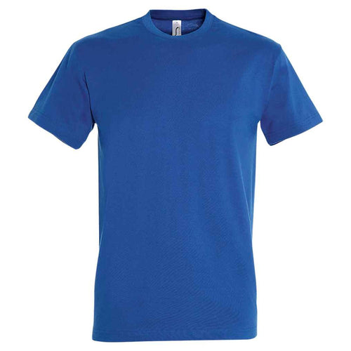 Compulsory: House T shirt, Tudor