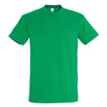 Compulsory: House T shirt, Windsor