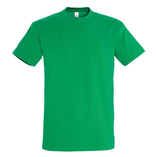 Compulsory: House T shirt, Windsor