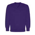 V Neck sweatshirts. Leith Hill School