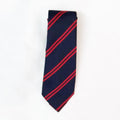Ashcombe Lower School Tie