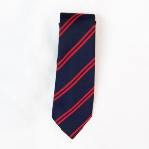 Ashcombe Lower School Tie