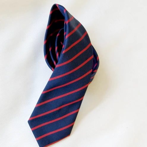 St Paul's School Tie