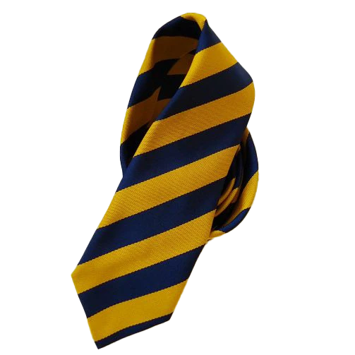 The Weald School Tie